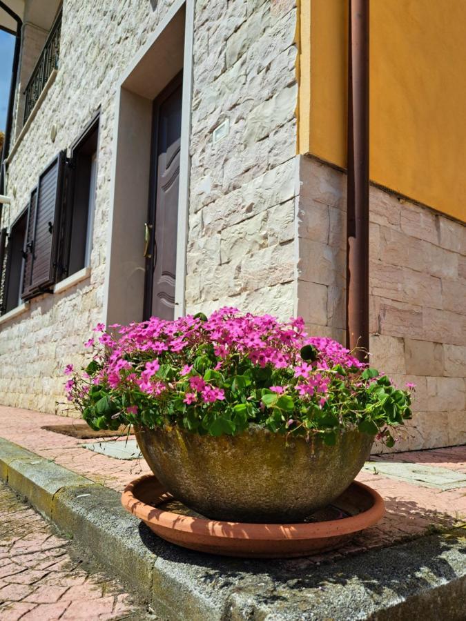 La Casa Di Mezzo-Affitti Brevi-Zona Ospedali Villa Busso Buitenkant foto