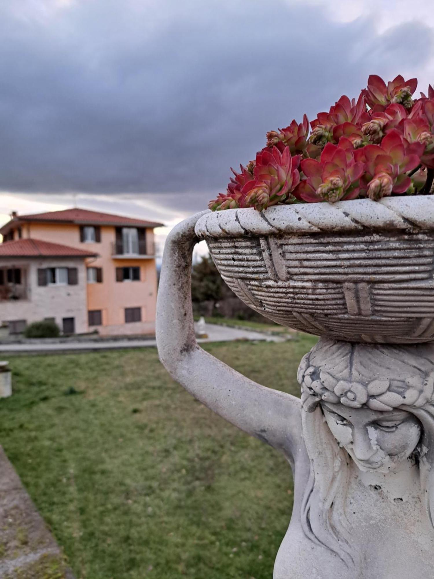La Casa Di Mezzo-Affitti Brevi-Zona Ospedali Villa Busso Buitenkant foto